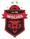 Wollongong Wolves