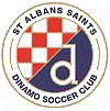 St Albans Saints