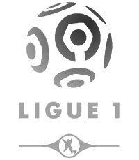 Ligue 1 2016/2017